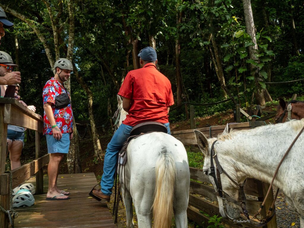 Horse Back Riding