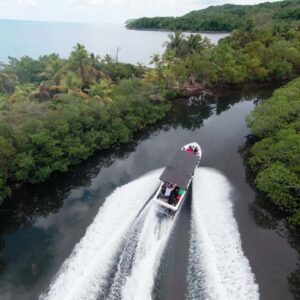 Mangrove Tour