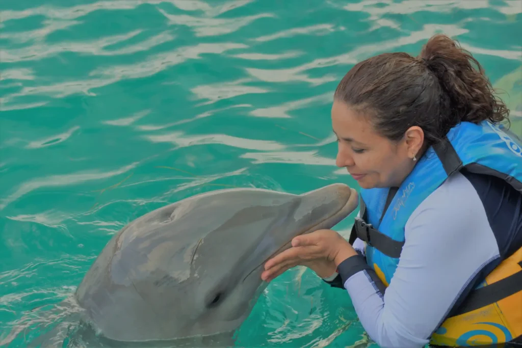 Dolphin Encounter