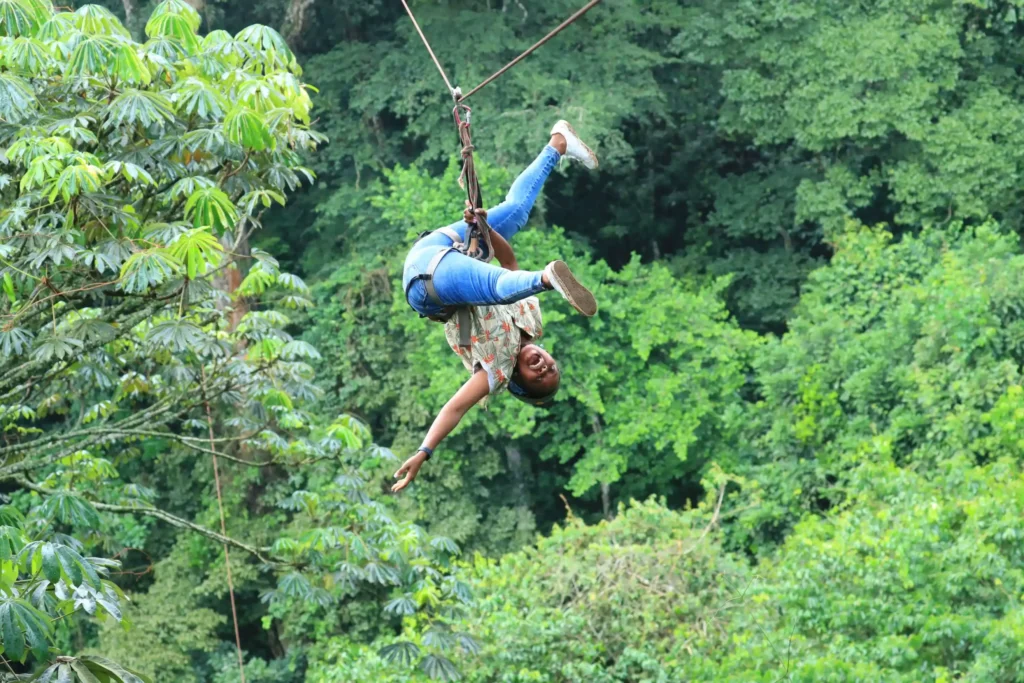 Zip Line