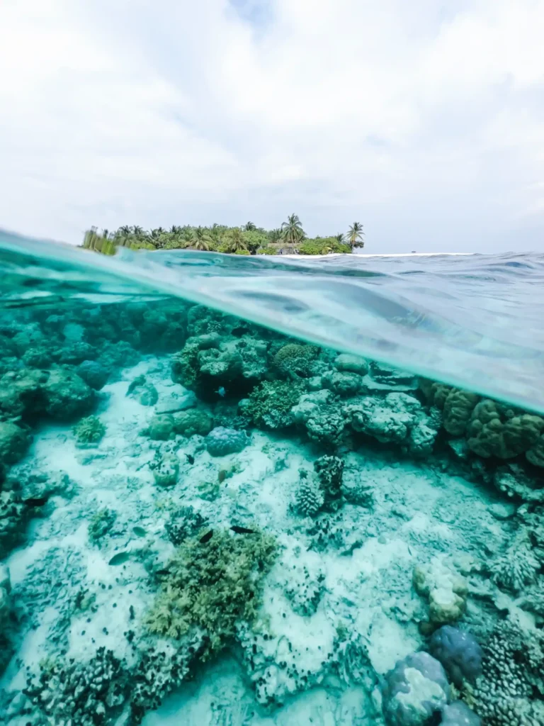 Snorkeling